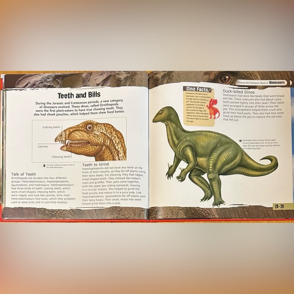 Count & Add Dinosaurs Activity Set with Dinosaurs Reference Book (For Kids) - Picture 9 of 10